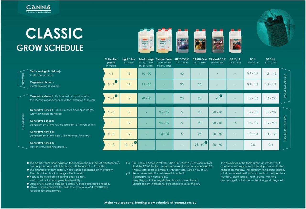 Canna Bitki Besini Programı