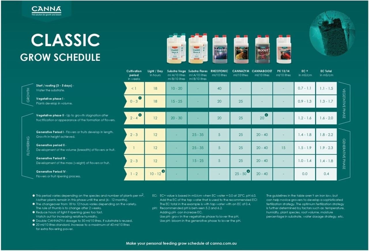 Canna Bitki Besini Programı