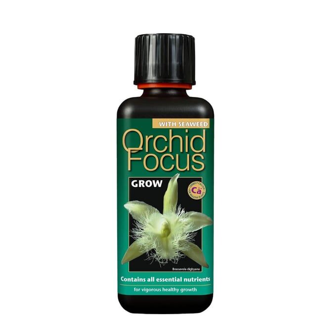 Orchid Focus Grow 100 ml