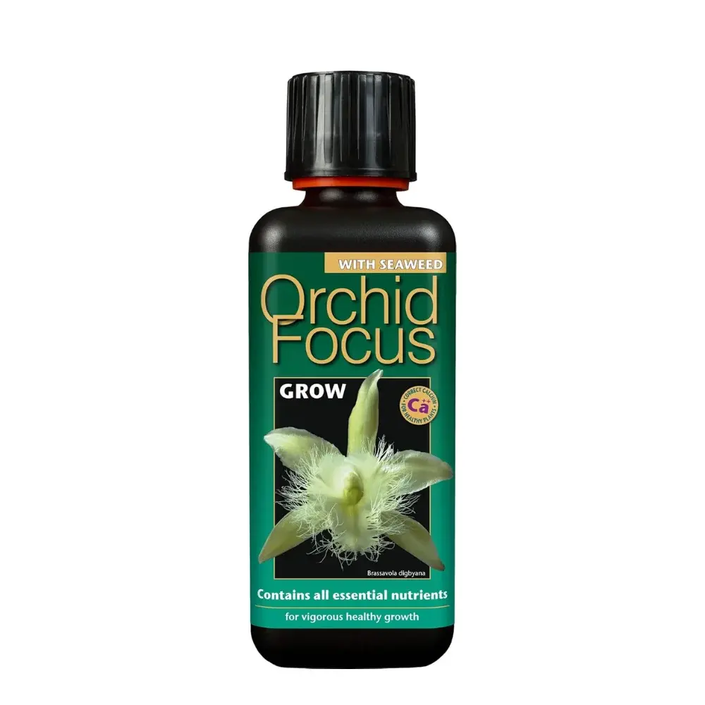 Orchid Focus Grow 300 ml