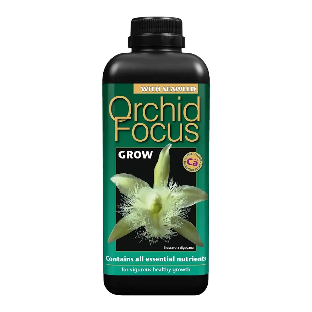 Orchid Focus Grow 1 Litre