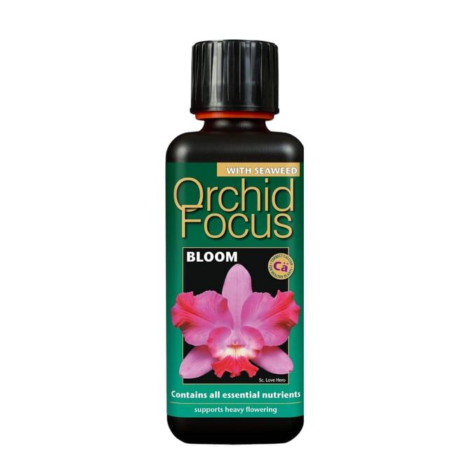 Orchid Focus Bloom 300 ml