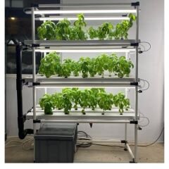 Dikey Topraksız Tarım Sistemi 3 Katlı