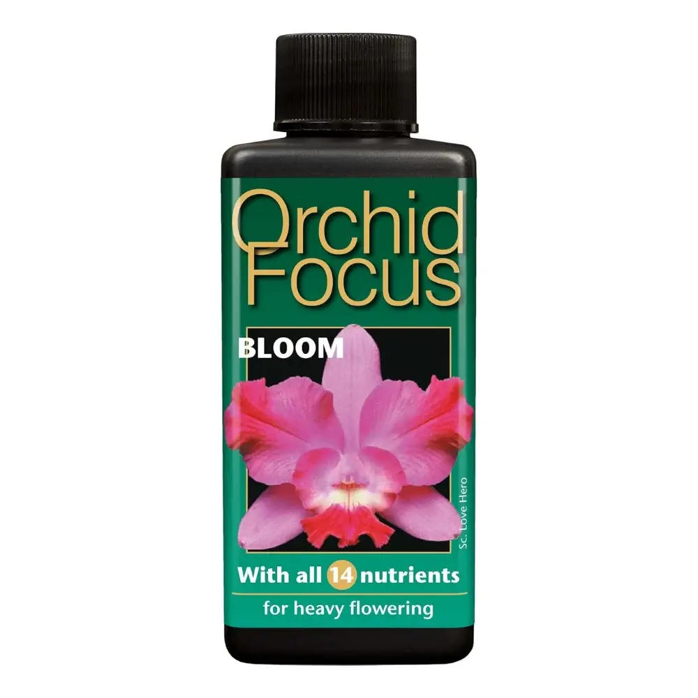 Orchid Focus Bloom 1 Litre