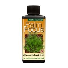 Palm Focus 100 ml