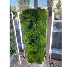 Kule Topraksız Tarım Sistemi İçin Led Sistemi