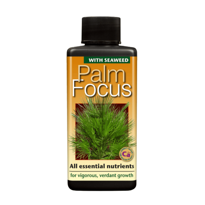 Palm Focus 300 ml
