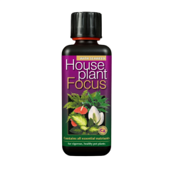 HousePlant Focus 300 ml