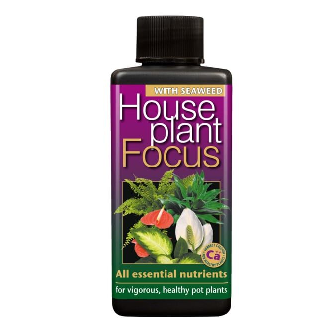 HousePlant Focus 1 Litre