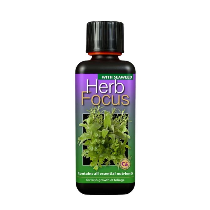 Herb Focus 300 ml