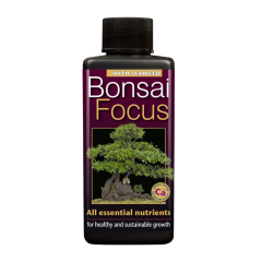 Bonsai Focus 100 ml