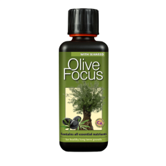 Olive Focus 1 Litre