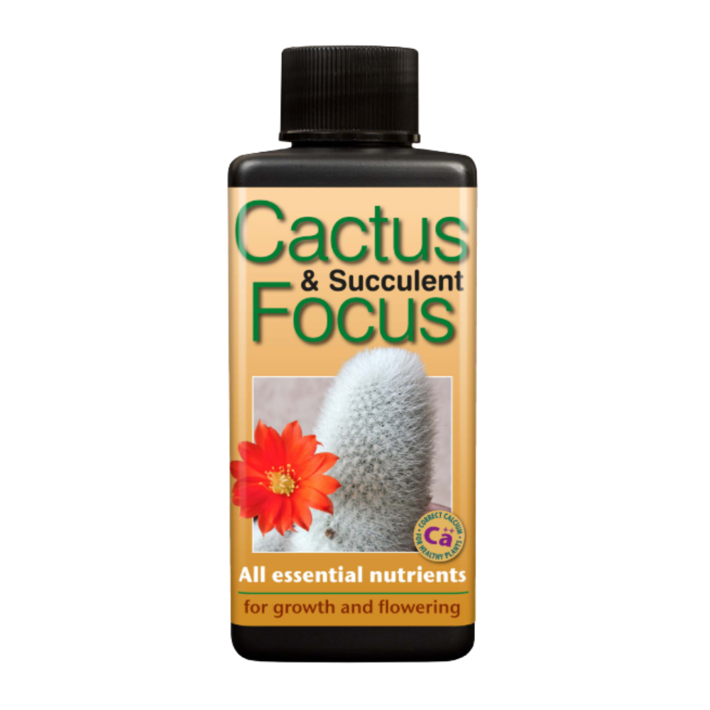 Cactus Focus 100 ml
