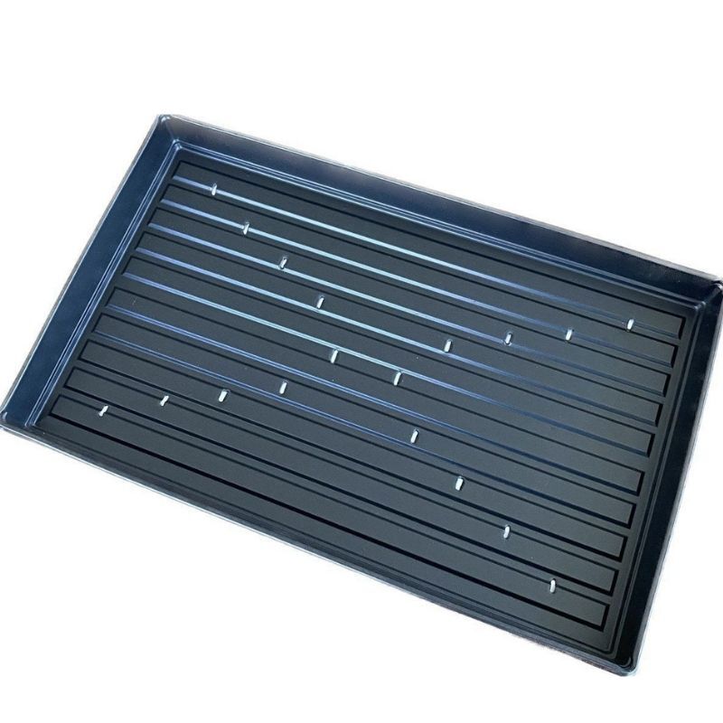 Microgreen Tepsisi Delikli 51x31x4cm