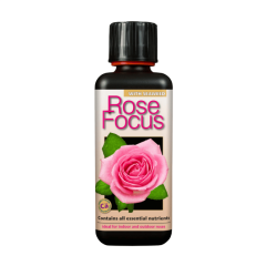 Rose Focus 300 ml