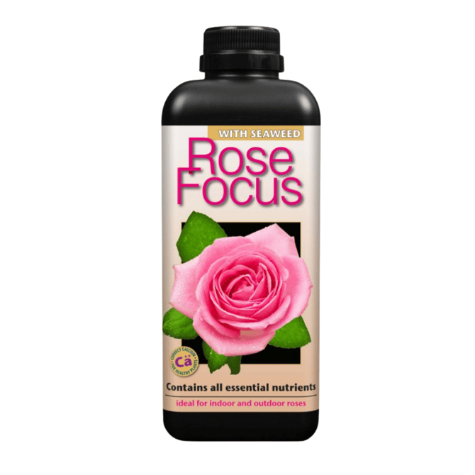 Rose Focus 1 Litre