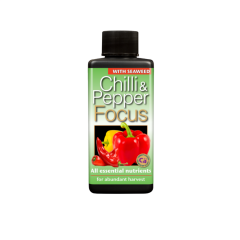 Chilli Focus 100 ml