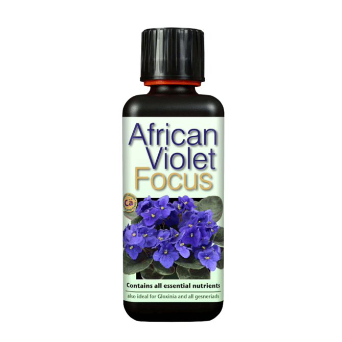 African Violet Focus 300 ml