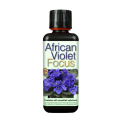 African Violet Focus 300 ml