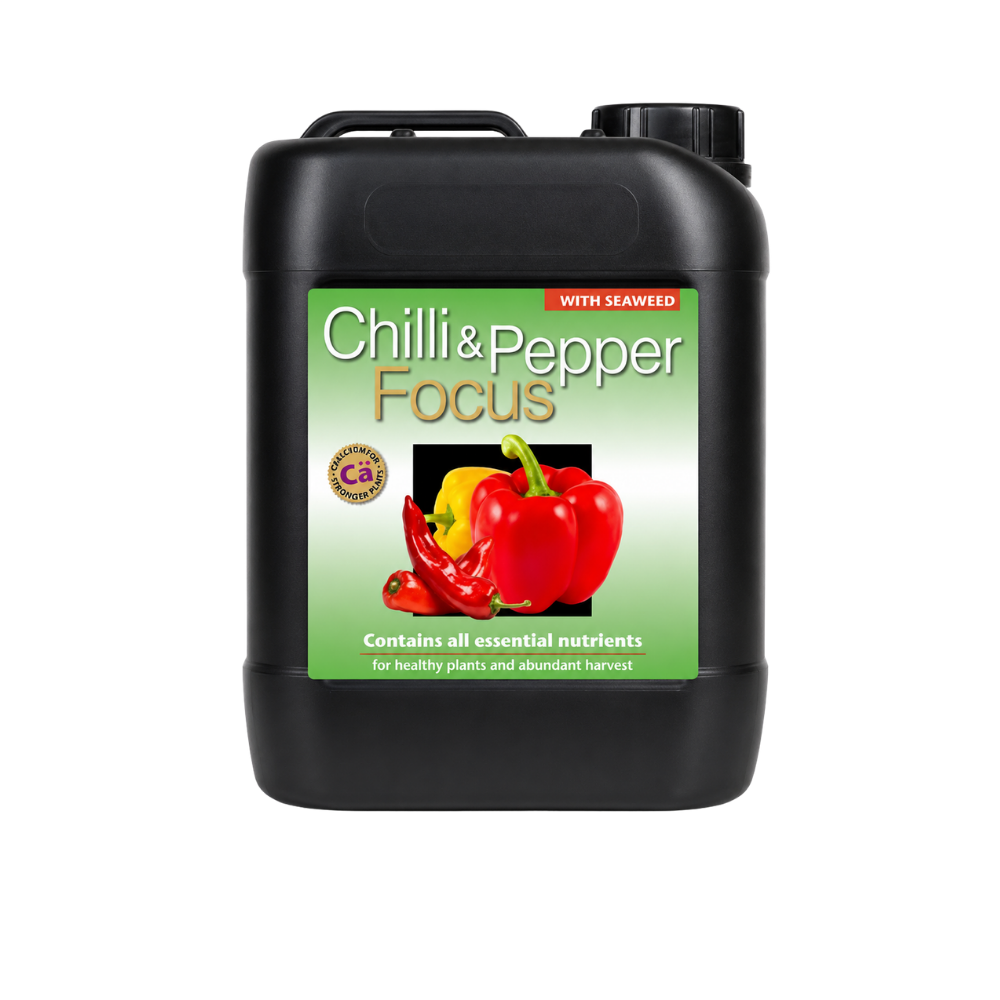 Chilli Focus 5 Litre