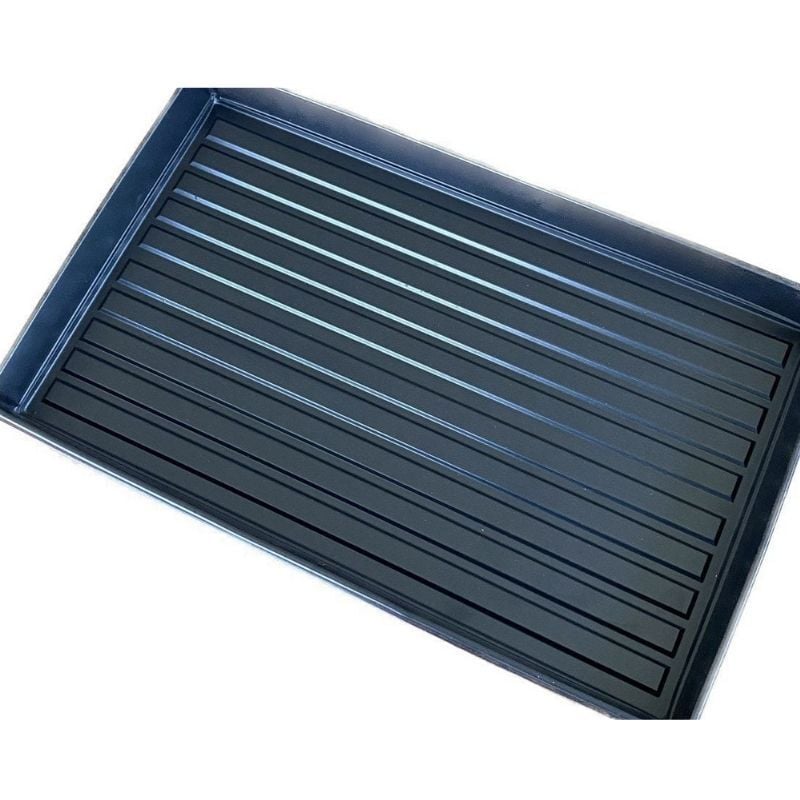 Microgreen Tepsisi Deliksiz 51x31x4