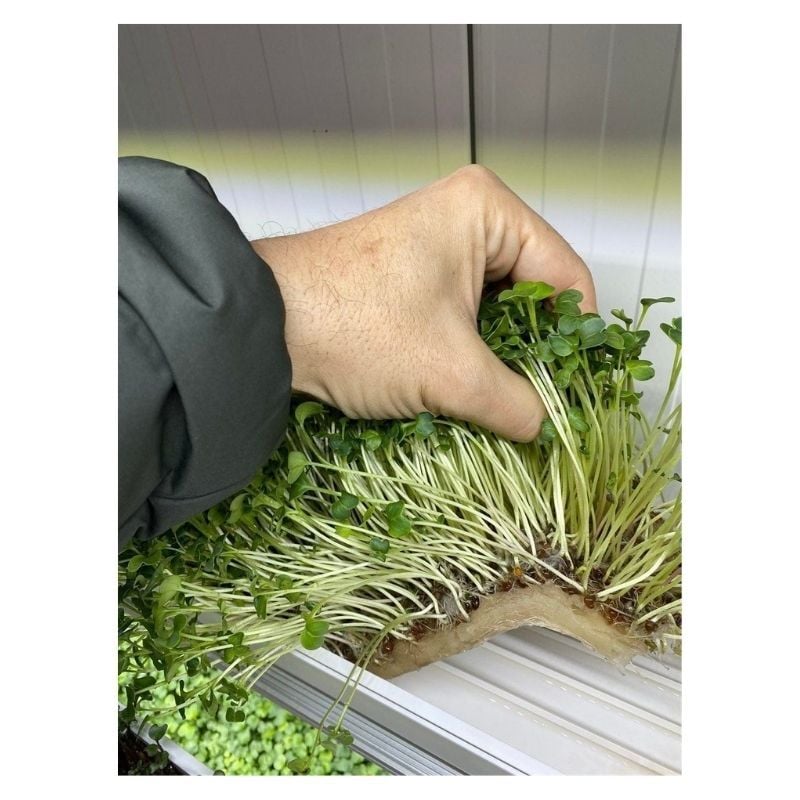 Microgreen Selüloz Kumaş