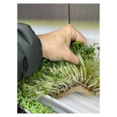 Microgreen Selüloz Kumaş