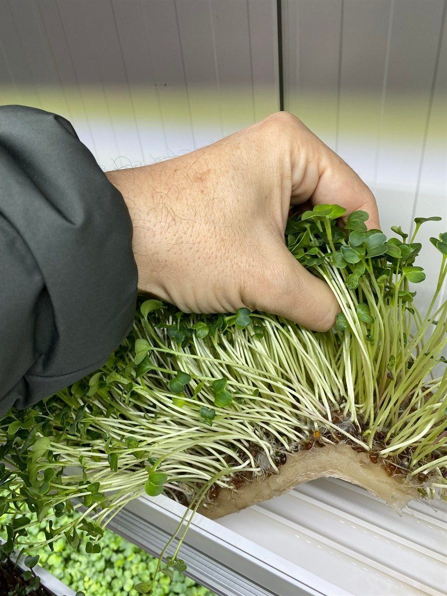 Microgreen Selüloz Kumaş