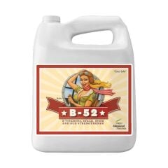 Advanced Nutrients B-52 500 ml