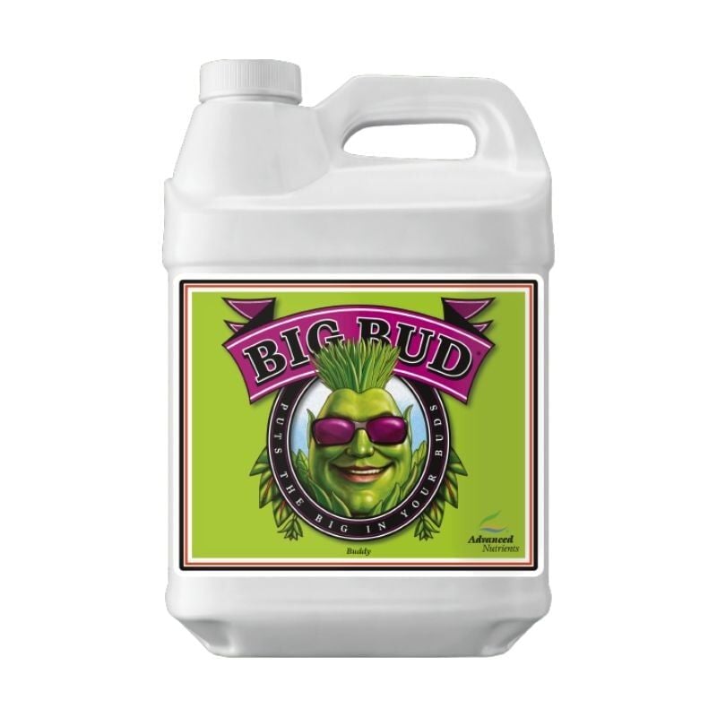 Advanced Nutrients Big Bud 250 ml