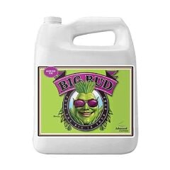 Advanced Nutrients Big Bud 500 ml