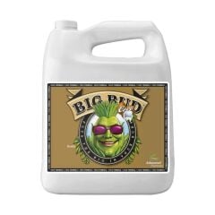 Advanced Nutrients Big Bud Coco 250 ml