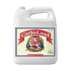 Advanced Nutrients CarboLoad 250 ml