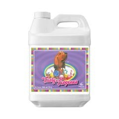 Advanced Nutrients Tasty Terpenes 250 ml