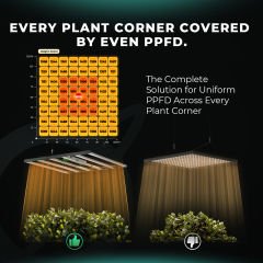 Mars Hydro FC-8000 EVO Led Bitki Yetiştirme Lambası 800w
