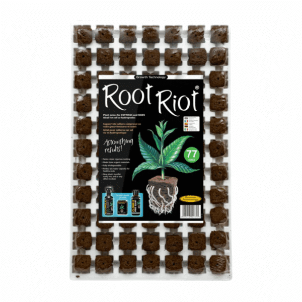 Root Riot Viyol 77 Adet