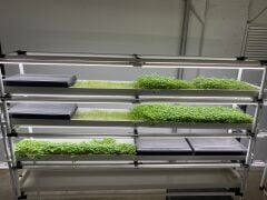 Dikey Topraksız Tarım Sistemi 4 Katlı