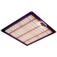HydroLab QB 240w