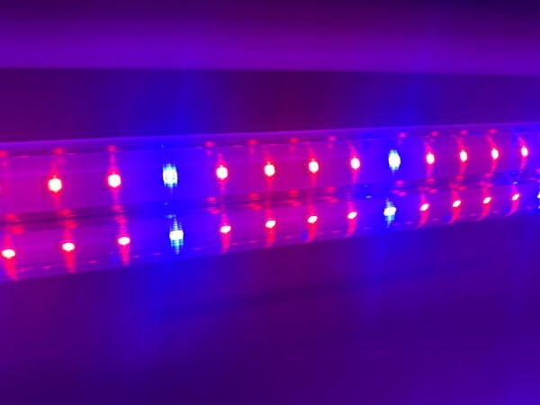 Led Bitki Yetiştirme Lambası 1.2m Full Spectrum 40w